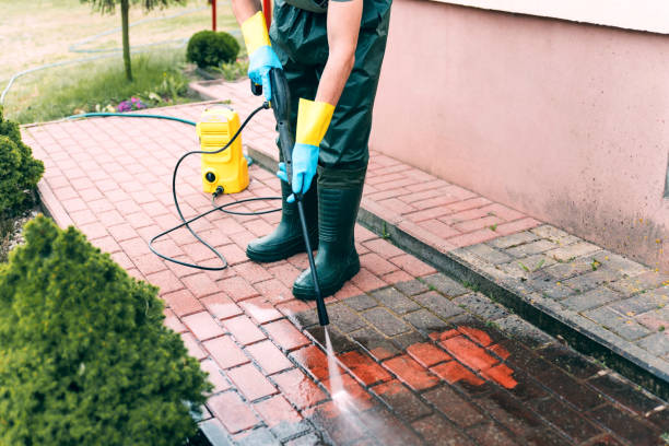 Best Gutter Cleaning  in La Huerta, NM