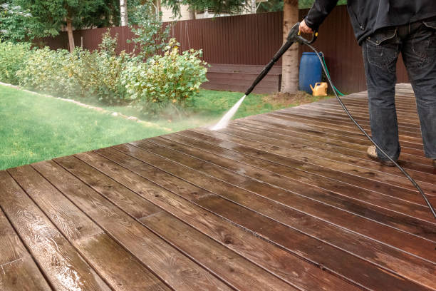 Best Factory Floor Cleaning  in La Huerta, NM